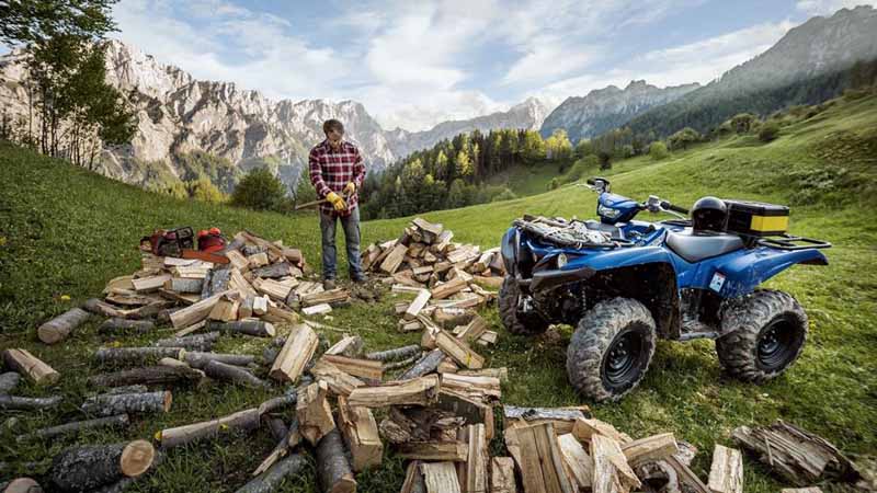 yamaha-introduces-grizzly-of-the-atv-in-the-north-american-market20150607-4-min