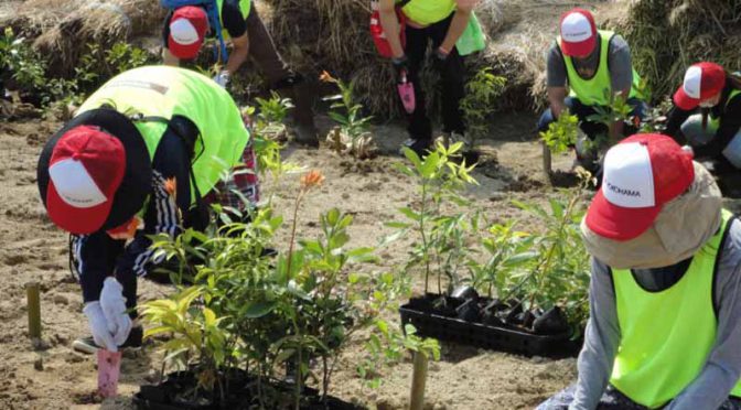 横浜ゴム、宮城県岩沼市の「千年希望の丘」植樹祭に苗木を提供