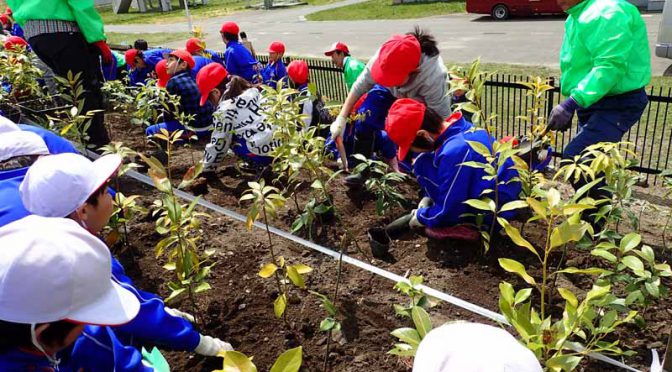 横浜ゴム、大槌学園が行う「平成の杜」での植樹を支援